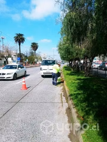 Mantención y Jardinería