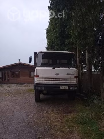Vendo Camion