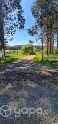 Parcela 5800m2
