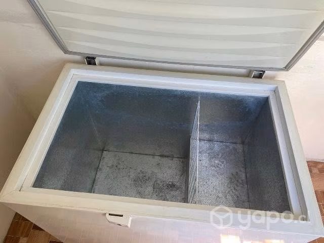 Congeladora