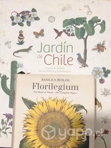 Florilegium / Jardin de Chile