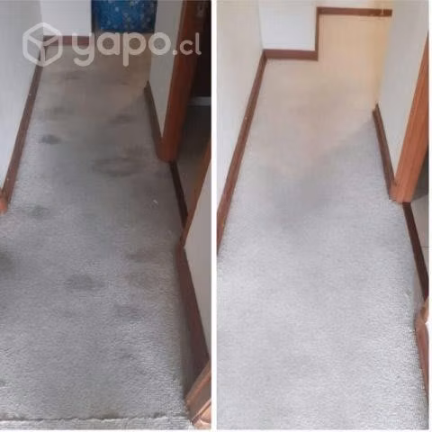 Limpieza de alfombras sanitizacion desmanchados