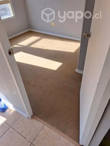 Limpieza de alfombras sanitizacion desmanchados