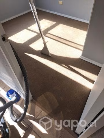 Limpieza de alfombras sanitizacion desmanchados