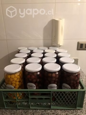 Oportunidad 20 conservas de litro sabores