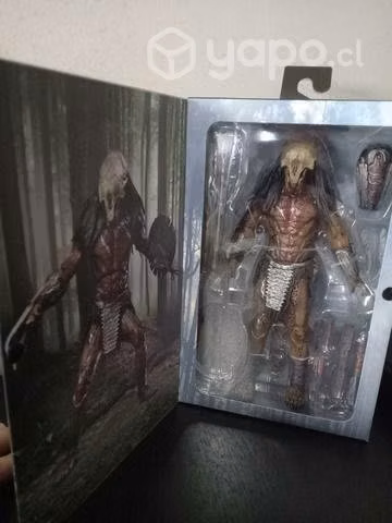 Feral predator