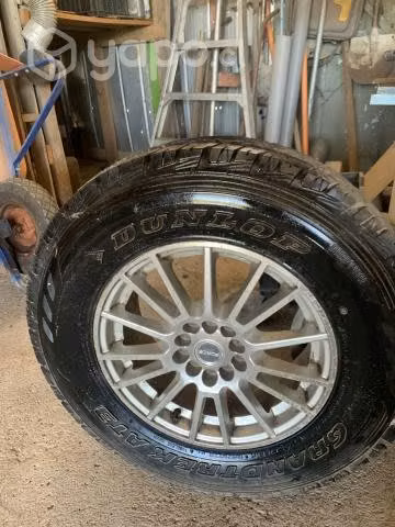 Neumáticos Dunlop