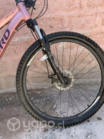 Bicicleta Oxford Venus 1 - Imagen 4