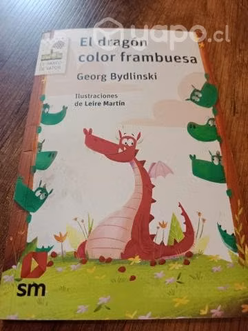 Libro: El Dragón Color Frambuesa
