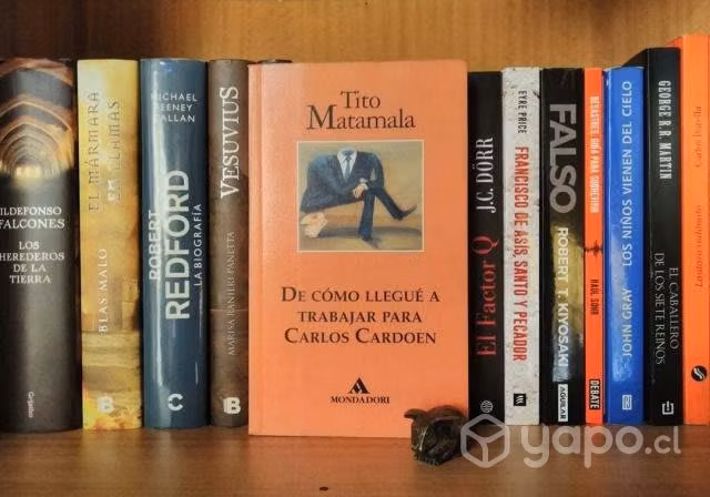 «de como llegué a trabajar para carlos cardoen»
