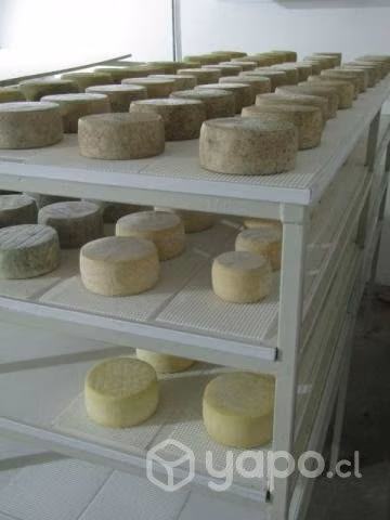 Queso de oveja