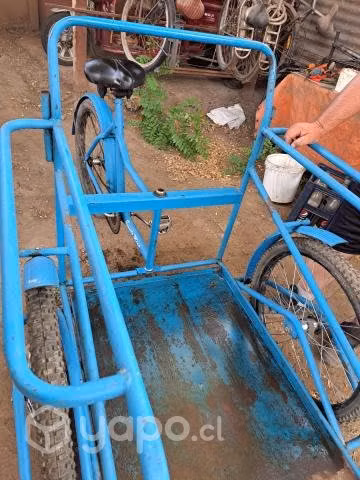 Triciclo de carga