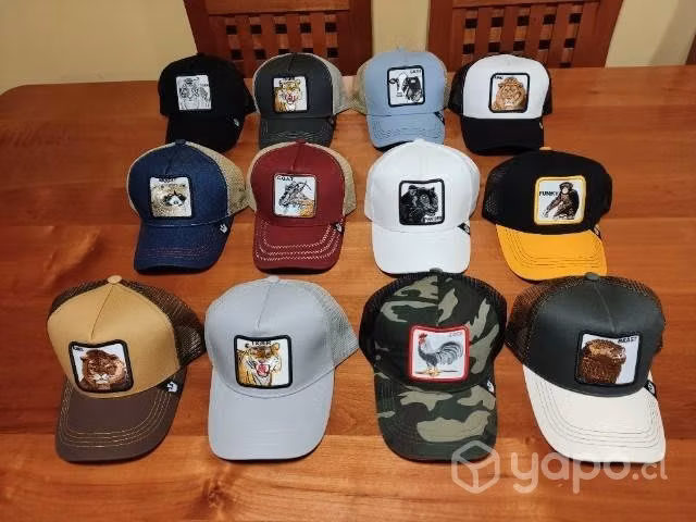Jockeys tipo trucker 2x