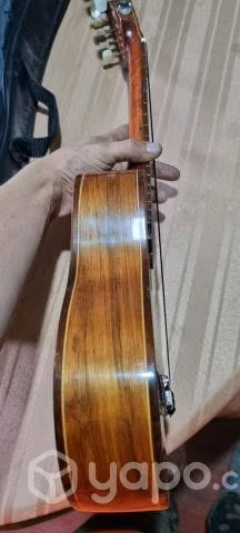 Charango Profesional