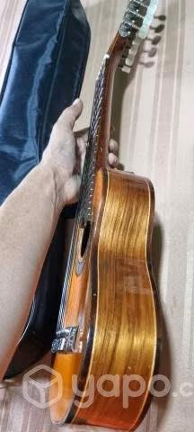 Charango Profesional