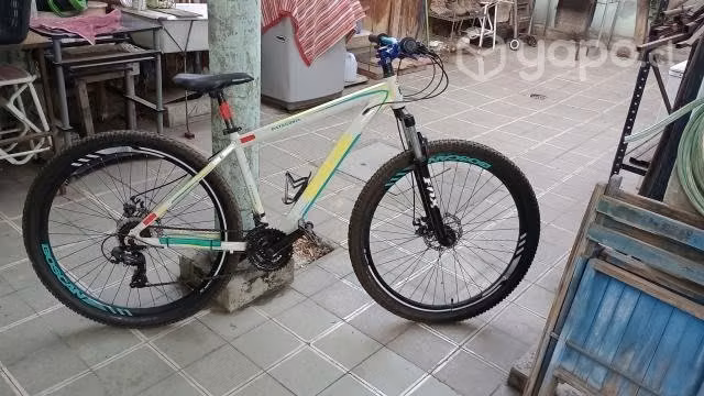 Bicicleta de montaña aro 29