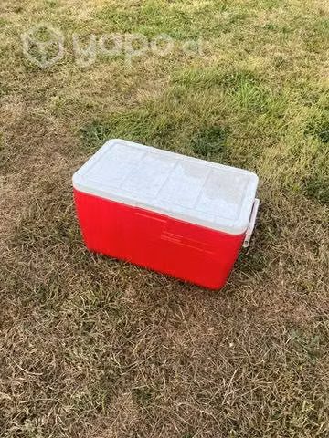 Cooler Nevera Coleman 48 Qt 76 Latas