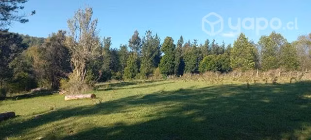 Campo 14,5 ha, con casa, a 12km de Curacautin