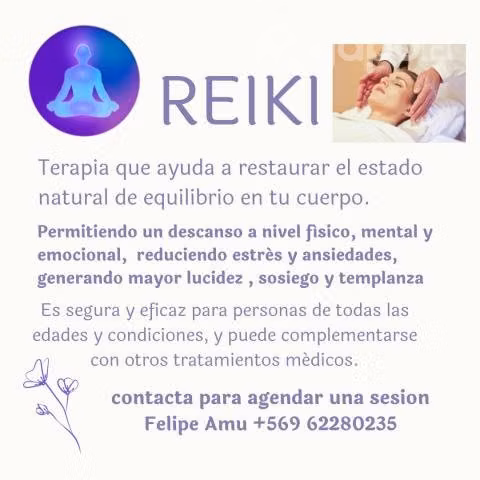 Terapia Reiki en Valdivia o en la Costa