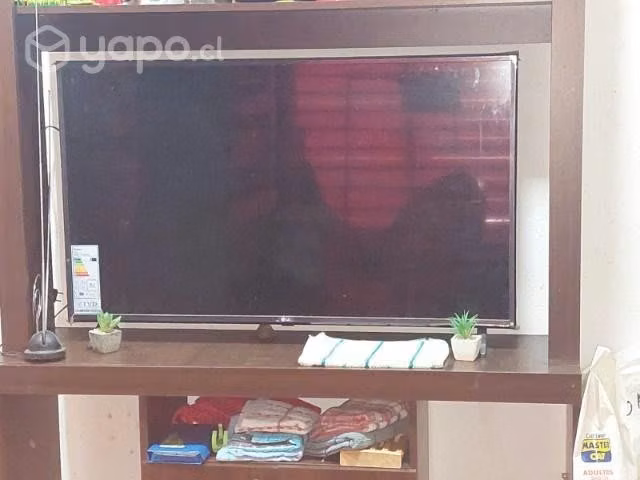 Tv y sobadora