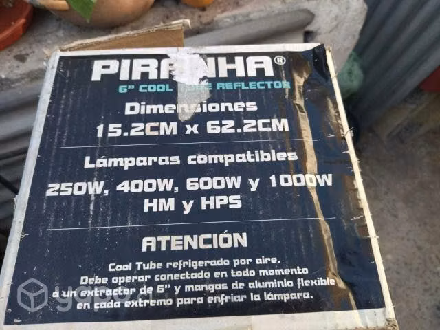 Carpa indoor piranha - Imagen 4