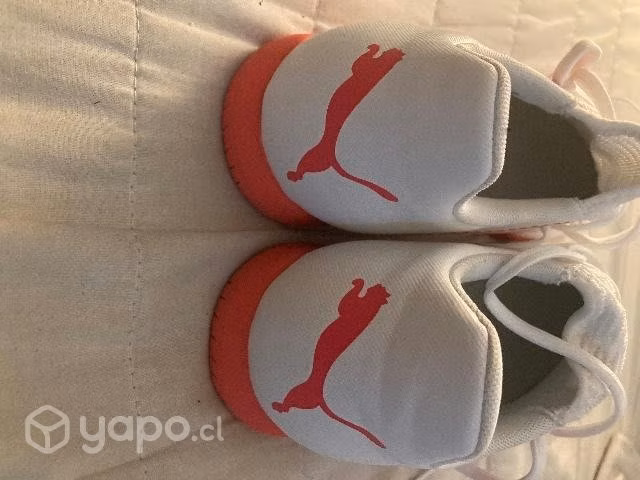Zapatos futbolito Puma