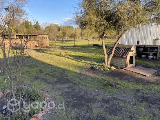 Venta parcela con casa s/r de 5.000m2 cerca AER