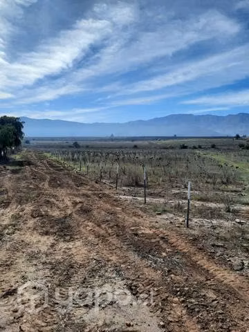Parcela en Cerrillos de Tamaya, Ovalle - Imagen 4