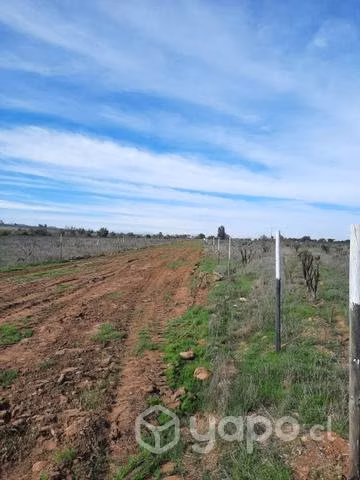 Parcela en Cerrillos de Tamaya, Ovalle - Imagen 3