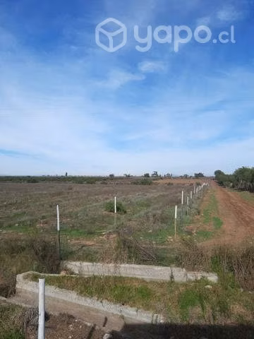 Parcela en Cerrillos de Tamaya, Ovalle - Imagen 5