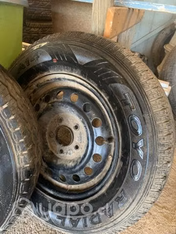 Neumatico Toyo