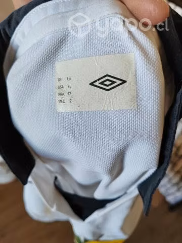 Polera blanca Colo-colo