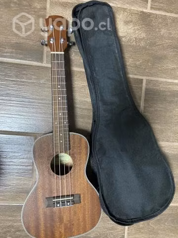 TAYSTE Concierto Ukelele