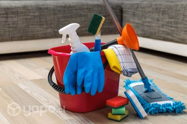 Servicios de aseo
