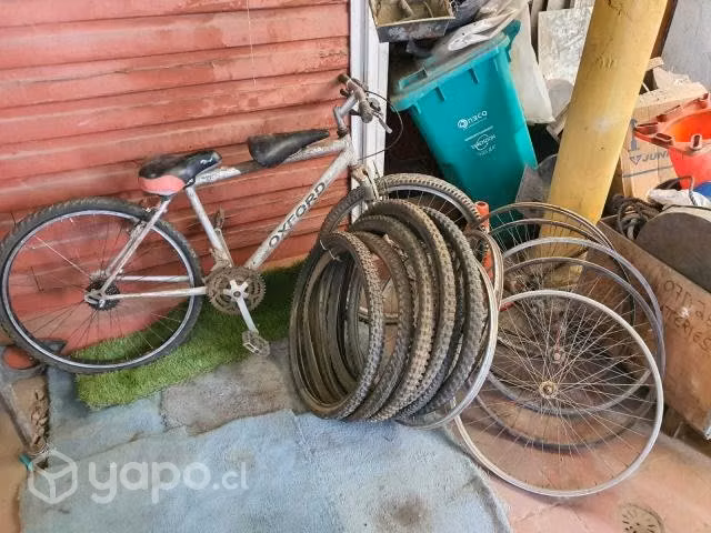 Bicicleta