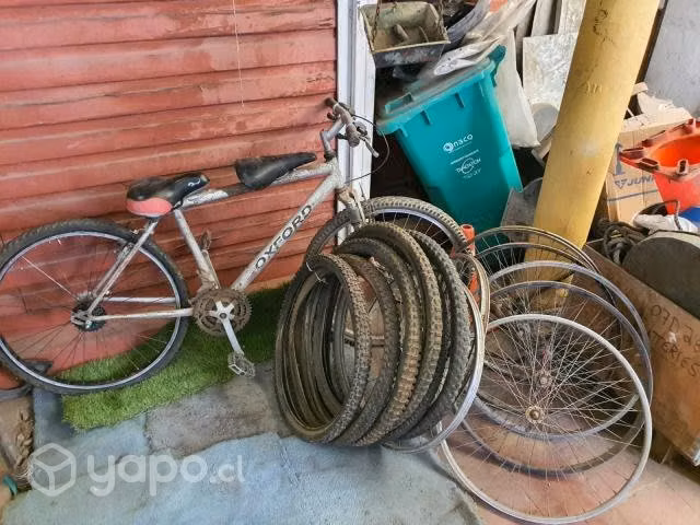 Bicicleta