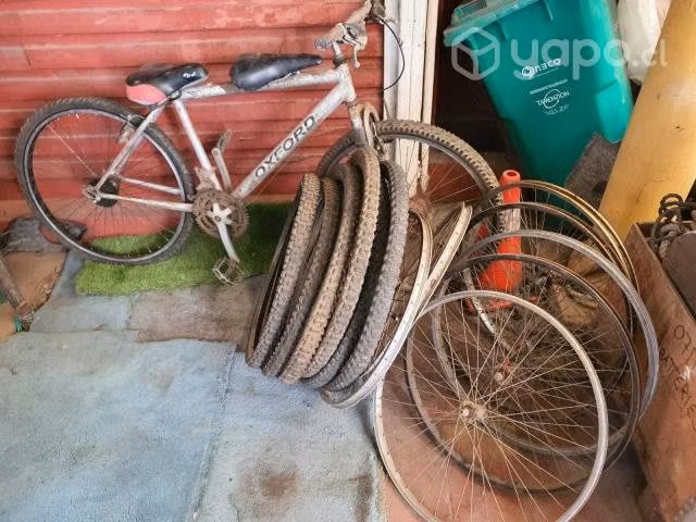 Bicicleta