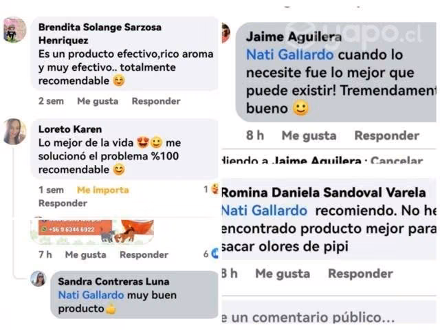 Desinpet Eliminador de Olores para Mascotas
