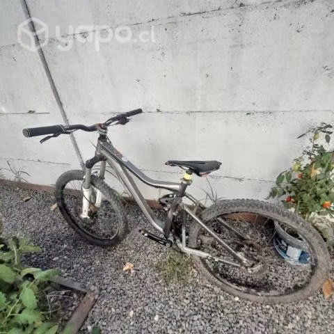 Bicicleta descenso