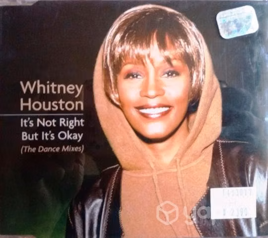 Whitney Houston - It's not right but it's OK