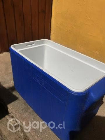 Cooler camping Coleman