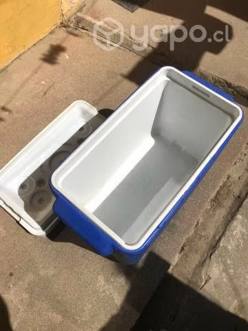 Cooler camping Coleman