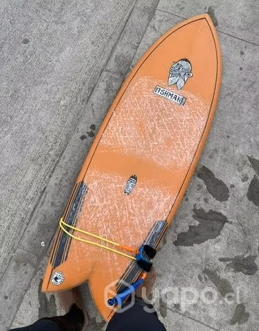 Retro fish Twin find Fishman 5,7