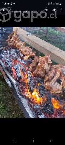 Cerditos faenados
