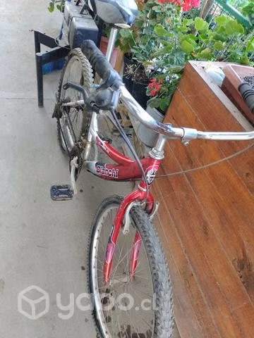 Bicicleta Bianchi aro 26