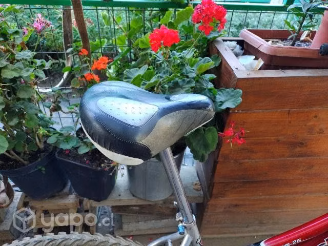 Bicicleta Bianchi aro 26