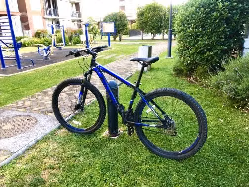 Bicicleta mountain bike marca Roldic