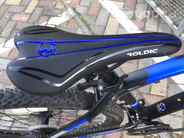 Bicicleta mountain bike marca Roldic