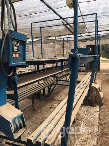 Seleccionadora de aceitunas funcionando