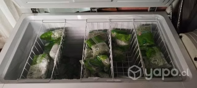 Conservadora alimentos maigas